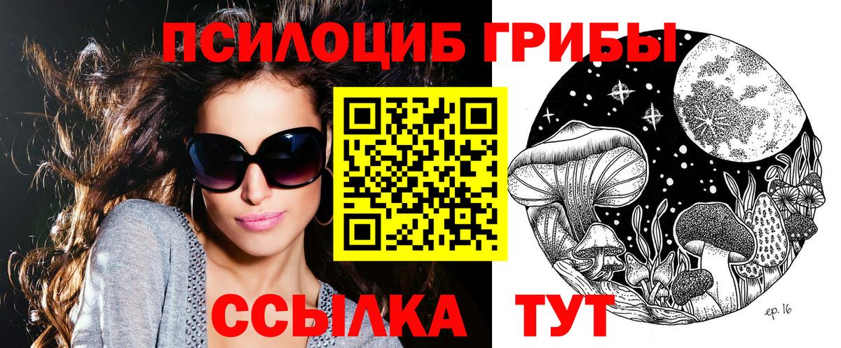 Галлюциногенные грибы ЛСД Зима